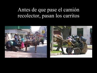 Antes de que pase el camión recolector, pasan los carritos 