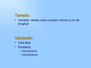 Tamaño
• Variable: desde unas cuantas micras a cm de
  longitud



Ubicación
• Vida libre
• Parásitos
   – intracelulares
...