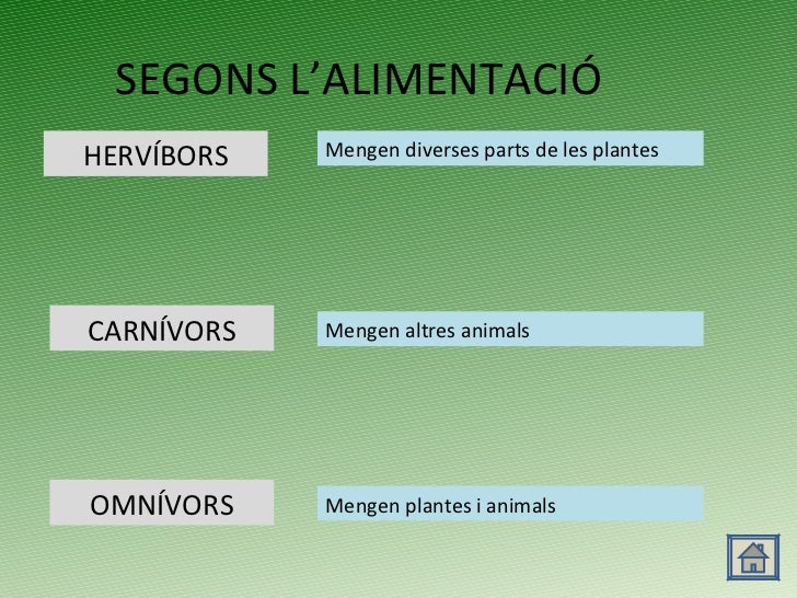 Resultado de imagen de tipus d'animals segons l'alimentació