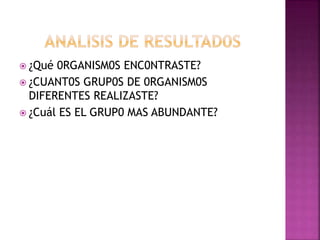  ¿Qué 0RGANISM0S ENC0NTRASTE?
 ¿CUANT0S GRUP0S DE 0RGANISM0S
DIFERENTES REALIZASTE?
 ¿Cuál ES EL GRUP0 MAS ABUNDANTE?
 