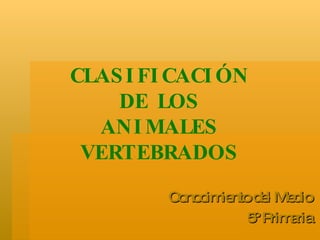 CLASIFICACIÓN  DE LOS  ANIMALES VERTEBRADOS Conocimiento del Medio 5º Primaria 