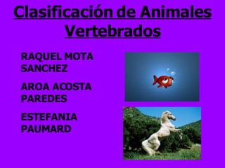 Clasificación de Animales Vertebrados RAQUEL MOTA SANCHEZ AROA ACOSTA PAREDES ESTEFANIA PAUMARD 