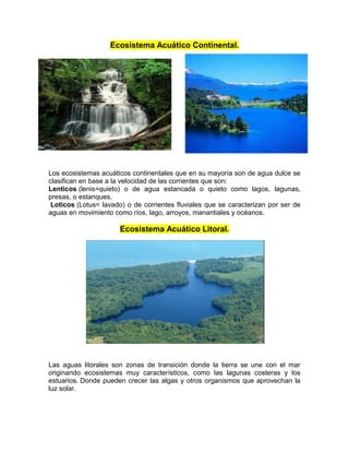 Ecosistema Acuático Continental.
Los ecosistemas acuáticos continentales que en su mayoría son de agua dulce se
clasifican en base a la velocidad de las corrientes que son:
Lenticos (lenis=quieto) o de agua estancada o quieto como lagos, lagunas,
presas, o estanques.
Loticos (Lotus= lavado) o de corrientes fluviales que se caracterizan por ser de
aguas en movimiento como ríos, lago, arroyos, manantiales y océanos.
Ecosistema Acuático Litoral.
Las aguas litorales son zonas de transición donde la tierra se une con el mar
originando ecosistemas muy característicos, como las lagunas costeras y los
estuarios. Donde pueden crecer las algas y otros organismos que aprovechan la
luz solar.
 