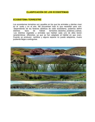 CLASIFICACIÓN DE LOS ECOSISTEMAS
ECOSISTEMA TERRESTRE
Los ecosistemas terrestres son aquellos en los que los animales y plantas viven
en el suelo y en el aire. Allí encuentran todo lo que necesitan para vivir.
Dependiendo de los factores abióticos de cada ecosistema, podemos definir
distintos tipos de hábitat terrestres: desiertos, praderas y selvas.
Los distintos vegetales y animales que habitan cada uno de ellos tienen
características diferentes, ya que se han adaptado al hábitat en que viven.
Cuando se producen cambios y alguna especie no puede adaptarse, muere
pudiendo llegar a extinguirse.
 