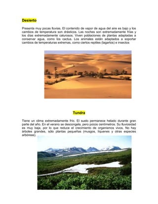 Desierto
Presenta muy pocas lluvias. El contenido de vapor de agua del aire es bajo y los
cambios de temperatura son drásticos. Las noches son extremadamente frías y
los días extremadamente calurosos. Viven poblaciones de plantas adaptadas a
conservar agua, como los cactus. Los animales están adaptados a soportar
cambios de temperaturas extremas, como ciertos reptiles (lagartos) e insectos
Tundra
Tiene un clima extremadamente frío. El suelo permanece helado durante gran
parte del año. En el verano se descongela, pero pocos centímetros. Su lluviosidad
es muy baja, por lo que reduce el crecimiento de organismos vivos. No hay
árboles grandes, sólo plantas pequeñas (musgos, líquenes y otras especies
arbóreas).
 