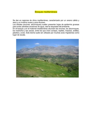 Bosques mediterráneos
Se dan en regiones de clima mediterráneo, caracterizado por un verano cálido y
seco y un invierno suave y poco lluvioso.
Los árboles (encinas, alcornoques) suelen presentar hojas de epidermis gruesas
para evitar pérdidas excesivas de agua, dad la sequedad del ambiente.
En el bosque y en el matorral mediterráneo abundan las encinas, los alcornoques,
los madroños y las zarzas, entre los que viven conejos, reptiles, insectos, ardillas,
jabalíes y aves. Este bioma suele ser utilizado por muchas aves migratorias como
lugar de escala.
Ecosistema acuático
 
