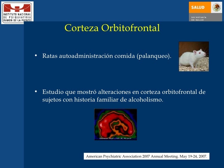 El método del tratamiento del alcoholismo por shichko