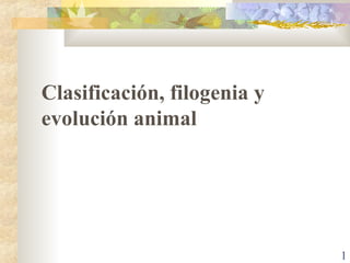 C lasificación, filogenia y evolución animal 