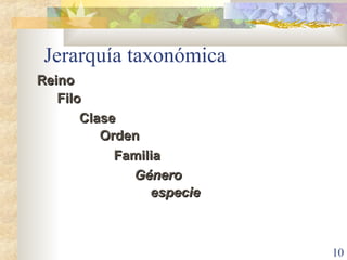 Jerarquía taxonómica Reino Orden Clase Filo Género especie Familia 