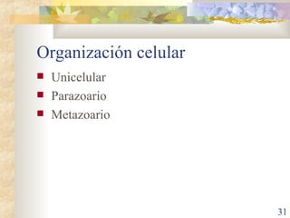 Organización celular Unicelular Parazoario Metazoario 