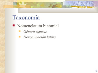 Taxonomía Nomenclatura binomial Género especie Denominación latina 