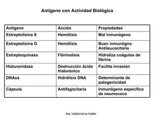 Antígeno con Actividad Biológica Inmunógeno específico  de neumococo Antifagocitaria Cápsula Determinante de patogenicidad Hidrólisis DNA DNAsa Facilita invasión Destrucción ácido hialurónico Hialuronidasa Hidroliza coágulos de fibrina Fibrinolisis Estreptoquinasa Buen inmunógno Antileucocitario Hemólisis Estreptolisina O Mal inmunógeno Hemólisis Estreptolisina S Propiedades Acción Antígeno 