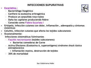 INFECCIONES SUPURATIVAS Escarlatina : Bacteriófago lisogénico Confiere la exotoxina eritrogénica Produce un sarpullido rosa-rojizo Daña los capilares produciendo fiebre Conocido como  Fiebre Escarlata ! Erisipela, infección cutanea con dolor, inflamación , adenopatia y sintomas sistemicos Celulitis, infeccion cutanea que afecta los tejidos subcutaneos Ocasionalmente:  Infecciones sistemáticas fulminantes Fascitis necronizante  (tejidos subcutaneos) Bacterias comedoras de Carne Activa Efectores (Exotoxina A, superantígeno) sindrome shock tóxico estreptocócico Inflamación masiva, destrucción de tejidos 30% de mortalidad 