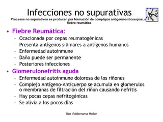Infecciones no supurativas Procesos no supurativos se producen por formación de complejos antígeno-anticuerpos, ej, fiebre reumática Fiebre Reumática :  Ocacionada por cepas reumatogénicas Presenta antígenos silimares a antígenos humanos Enfermedad autoinmune Daño puede ser permanente Posteriores infecciones Glomerulonefritis aguda Enfermedad autoinmune dolorosa de los riñones Complejo Antígeno-Anticuerpo se acumula en glomerulos o membranas de filtración del riñon causando nefritis Hay pocas cepas nefritogénicas Se alivia a los pocos días 