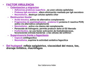 FACTOR VIRULENCIA Colonizacion y migracion Adhesinas proteicas superficie  , se unen células epiteliales Proteasa IgA secretora  , altera eliminación mediada por IgA secretora Neumolisina  , destruye celulas epitelio ciliar Destruccion tisular Acido teicoico , activa via alternativa complemento Fragmentos de peptidoglicanos , proteina C(  proteina C reactiva PCR) activa via alternativa complemento Neumolisina  , activa via clasica del complemento Perosxido de hidrogeno, permite producir daño al O2 liberado Fosforilcolina , se une factor activación de fosfodiesterasas, favoreciendo entrada bacterias  a las células del anfitrion   Supervivencia frente a fagocitosis Capsula  antifagocitica Neumolisina , suprime la actividad oxidativa fagocitica Del huésped:  reflejo epigástrico, viscosidad del moco, tos, drenaje linfático, macrófagos 