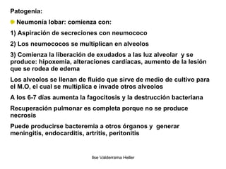 Patogenia: Neumonía lobar: comienza con: 1) Aspiración de secreciones con neumococo 2) Los neumococos se multiplican en alveolos 3) Comienza la liberación de exudados a las luz alveolar  y se produce: hipoxemia, alteraciones cardíacas, aumento de la lesión que se rodea de edema Los alveolos se llenan de fluído que sirve de medio de cultivo para el M.O, el cual se multiplica e invade otros alveolos A los 6-7 días aumenta la fagocitosis y la destrucción bacteriana Recuperación pulmonar es completa porque no se produce necrosis Puede producirse bacteremia a otros órganos y  generar meningitis, endocarditis, artritis, peritonitis 