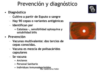 Prevención y diagnóstico Diagnóstico Cultivo a partir de Esputo o sangre Hay 90 cepas o variantes antigénicas Identifican por  Catalasa -, sensibilidad optoquina y solubilidad bilis Prevención Vacunas multivalente: dos tercios de cepas conocidas. Vacuna es mezcla de polisacáridos capsulares Se vacuna Ancianos Personal Sanitario Individuos inmunodeprimidos 