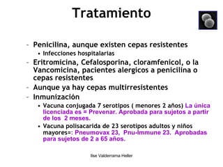 Tratamiento Penicilina, aunque existen cepas resistentes Infecciones hospitalarias Eritromicina, Cefalosporina, cloramfenicol, o la  Vancomicina, pacientes alergicos a penicilina o cepas resistentes Aunque ya hay cepas multirresistentes Inmunización  Vacuna conjugada 7 serotipos ( menores 2 años)  La única licenciada es = Prevenar. Aprobada para sujetos a partir de los  2 meses.  Vacuna polisacarida de 23 serotipos adultos y niños mayores= : Pneumovax 23,  Pnu-Immune 23.   Aprobadas para sujetos de 2 a 65 años. 