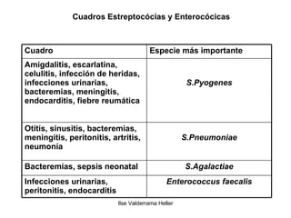 Cuadros Estreptocócias y Enterocócicas Enterococcus faecalis Infecciones urinarias, peritonitis, endocarditis S.Agalactiae Bacteremias, sepsis neonatal S.Pneumoniae Otitis, sinusitis, bacteremias, meningitis, peritonitis, artritis, neumonía S.Pyogenes Amigdalitis, escarlatina, celulitis, infección de heridas, infecciones urinarias, bacteremias, meningitis, endocarditis, fiebre reumática Especie más importante Cuadro 