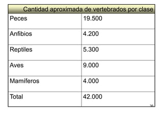 Cantidad aproximada de vertebrados por clase
Peces                  19.500

Anfibios                4.200

Reptiles                5.300

Aves                    9.000

Mamíferos               4.000

Total                   42.000
                                              36
 