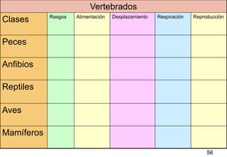 Vertebrados
            Rasgos   Alimentación   Desplazamiento   Respiración   Reproducción
Clases

Peces

Anfibios

Reptiles

Aves

Mamíferos
                                                                         56
                                                                        56
 