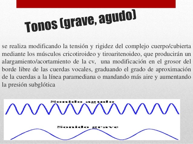 Clasificación articulatoria de los sonidos del lenguaje