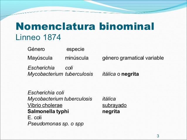 Clasificación bacteriana