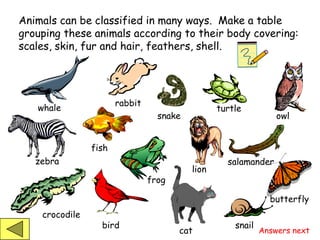 Clasificación de animales