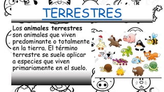 TERRESTRES
Los animales terrestres
son animales que viven
predominante o totalmente
en la tierra. El término
terrestre se suele aplicar
a especies que viven
primariamente en el suelo.
 