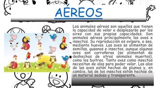 AÉREOS
Los animales aéreos son aquellos que tienen
la capacidad de volar o desplazarse por los
aires con sus propias capacidades. Son
animales aéreos principalmente las aves e
insectos. Su reproducción es ovípara, o sea,
mediante huevos. Las aves se alimentan de
semillas, gusanos e insectos, aunque algunas
aves son carroñeras (se alimentan de
deshechos de otros animales muertos),
como los buitres. Tanto aves como insectos
necesitan de alas para poder volar. Las alas
de las aves están hechas de plumas y, en
cambio, las de los insectos están hechas de
un material sedoso y transparente.
 
