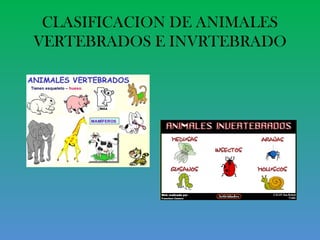 CLASIFICACION DE ANIMALES
VERTEBRADOS E INVRTEBRADO
 