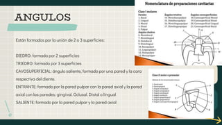 Están formados por la unión de 2 o 3 superficies:
DIEDRO: formado por 2 superficies
TRIEDRO: formado por 3 superficies
CAVOSUPERFICIAL: ángulo saliente, formado por una pared y la cara
respectiva del diente.
ENTRANTE: formado por la pared pulpar con la pared axial y la pared
axial con las paredes: gingival. Oclusal. Distal o lingual
SALIENTE: formado por la pared pulpar y la pared axial
ANGULOS
 