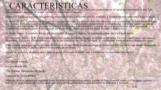 CARACTERÍSTICAS

Las rocas son los elementos base del jardín, la roca como montaña o como isla, contenidos en el vacío que representa el mar. Las
más usadas son aquellas de origen volcánico, sobre todo el basalto.
Shima (島?). Isla, se usa para designar a las rocas del jardín y al recinto que las contiene, y finalmente por extensión a todo el jardín.
Iwakura (岩倉?). Textualmente, el lugar que ocupan las rocas. En ocasiones se atan las rocas con cuerda como si delimitaran el lugar
que ocupan. Esta práctica procede del jardín chino, que usa rocas mucho más plásticas y redondeadas. Las rocas japonesas, por el
contrario, son escarpadas. Se escogen en función de su forma y se trasladan y colocan tal cual se encuentran en la naturaleza,
evitando las manipulaciones y protegiendo las rocas de los daños que puedan sufrir durante el transporte.
El Monte Shumi, la montaña del eje del mundo para la religión budista. Se representa como una roca en el jardín.
La isla/monte Hōrai (蓬莱?). Un lugar místico heredado del Monte Penglai de la mitología china. En cierto modo sería una especie
de paraíso. Isla de los Bienaventurados, Isla de las Grullas eIsla de las Tortugas, se representan como piedras rodeadas por agua.
Estas piedras no se distinguen las unas de las otras, se dan forma a unas ideas que se transmiten por tradición oral, dando finalmente
lugar a un modelo. El jardín japonés es un jardín de iniciados.
Aparte de las rocas, un jardín típico japonés puede contener, de forma real o simbólica, los siguientes elementos:
Agua
Una isla de verdad.
Un puente a la isla
Una linterna, típicamente de piedra
Una casa de Té ó pabellón
Además, se usan elementos vegetales como bambús y plantas relacionadas, plantas de hoja perenne, como el Pino negro japonés, y
árboles de hoja caduca tales como arces que dejan desarrollarse debajo una alfombra de helechos y musgos.

 
