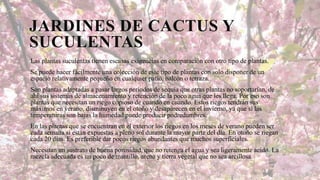 JARDINES DE CACTUS Y
SUCULENTAS
Las plantas suculentas tienen escasas exigencias en comparación con otro tipo de plantas.
Se puede hacer fácilmente una colección de este tipo de plantas con solo disponer de un
espacio relativamente pequeño en cualquier patio, balcón o terraza.
Son plantas adaptadas a pasar largos periodos de sequia que otras plantas no soportarían, de
ahí sus sistemas de almacenamiento y retención de la poco agua que les llega. Por eso son
plantas que necesitan un riego copioso de cuando en cuando. Estos riegos tendrán sus
máximos en verano, disminuyen en el otoño y desaparecen en el invierno, ya que si las
temperaturas son bajas la humedad puede producir podredumbres.
En las plantas que se encuentran en el exterior los riegos en los meses de verano pueden ser
cada semana si están expuestas a pleno sol durante la mayor parte del día. En otoño se riegan
cada 20 días. Es preferible dar pocos riegos abundantes que muchos superficiales.
Necesitan un sustrato de buena porosidad, que no retenga el agua y sea ligeramente acido. La
mezcla adecuada es un poco de mantillo, arena y tierra vegetal que no sea arcillosa.

 