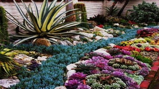 Clasificación de los jardines