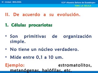 IV - Unidad : BIOLOGÍA
TEMA: LA CÉLULA
I.E.P «Nuestra Señora de Guadalupe»
II. De acuerdo a su evolución.
• Son primitivas de organización
simple.
• No tiene un núcleo verdadero.
• Mide entre 0,1 a 10 um.
Ejemplo: estromatolitos,
metanógenas, halófilas, etc.
 