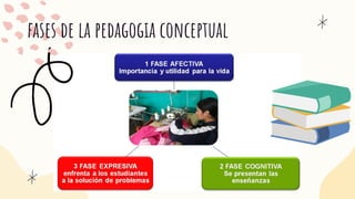 fases de la pedagogia conceptual
 