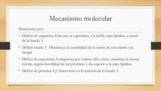 Clasificación de las anemias hemolíticas | PPTX
