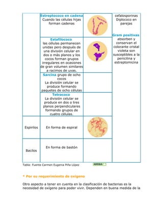 Clasificación de las bacterias | DOCX