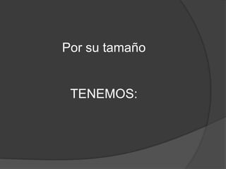 Por su tamañoTENEMOS: