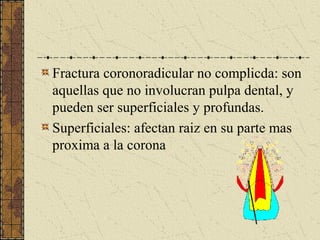 Fractura coronoradicular no complicda: son
aquellas que no involucran pulpa dental, y
pueden ser superficiales y profundas.
Superficiales: afectan raiz en su parte mas
proxima a la corona
 