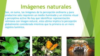 Imágenes naturales
Son, en suma, las imágenes de la percepción ordinaria y para
producirse solo requieren un medio iluminado y un sistema visual
y perceptivo active No hay que identificar representación
retiniana con imagen natural, esta ultima implica la percepción
globalmente considerada mientras que la primera es un mero
registro lumínico.
 