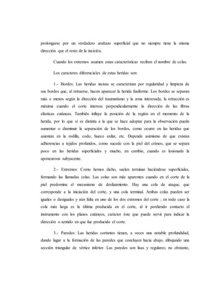 prolongarse por un verdadero arañazo superficial que no siempre tiene la misma
dirección que el resto de la incisión.
Cuando los extremos asumen estas características reciben el nombre de colas.
Los caracteres diferenciales de estas heridas son:
1.- Bordes: Las heridas incisas se caracterizan por regularidad y limpieza de
sus bordes que, al retraerse, hacen aparecer la herida fusiforme. Los bordes se separan
más o menos según la dirección del traumatismo y la zona interesada; la retracción es
máxima cuando el corte interesa perpendicularmente la dirección de las fibras
elásticas cutáneas. También influye la posición de la región en el momento de la
herida, por lo que sí es distinta a la que se hace adoptar para la observación puede
aumentar o disminuir la separación de los bordes, como ocurre en las heridas que
asientan en la rodilla, codo, hueco axilar, etc. Depende asimismo de que existan
adherencias a tejidos profundos, como sucede con la piel del cráneo, que se separa
poco en las heridas superficiales y mucho, en cambio, cuando es lesionada la
aponeurosis subyacente.
2.- Extremos: Como hemos dicho, suelen terminar haciéndose superficiales,
formando las llamadas colas. Las colas son más aparentes cuando en el corte de la
piel predomina el mecanismo de deslizamiento. Hay una cola de ataque, que
corresponde a la iniciación del corte, y una cola terminal. Ambas colas pueden ser
iguales o desiguales y aún falta en uno de los dos extremos del corte ; en todo caso la
cola más larga es la última producida en el corte, al ir perdiendo contacto el
instrumento con los planos cutáneos, carácter éste que puede servir para indicar la
dirección o sentido en que fue producido el corte.
3.- Paredes: Las heridas cortantes tienen, a veces una notable profundidad,
dando lugar a la formación de las paredes que concluyen hacia abajo, dibujando una
sección triangular de vértice inferior. Las paredes son lisas y regulares; no obstante,
 