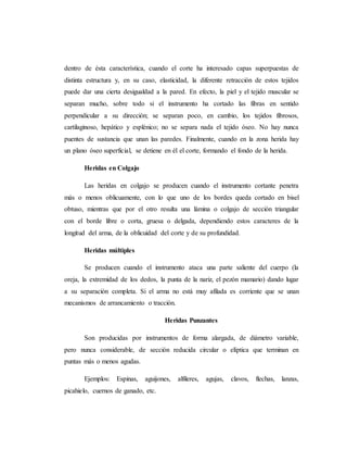 dentro de ésta característica, cuando el corte ha interesado capas superpuestas de
distinta estructura y, en su caso, elasticidad, la diferente retracción de estos tejidos
puede dar una cierta desigualdad a la pared. En efecto, la piel y el tejido muscular se
separan mucho, sobre todo si el instrumento ha cortado las fibras en sentido
perpendicular a su dirección; se separan poco, en cambio, los tejidos fibrosos,
cartilaginoso, hepático y esplénico; no se separa nada el tejido óseo. No hay nunca
puentes de sustancia que unan las paredes. Finalmente, cuando en la zona herida hay
un plano óseo superficial, se detiene en él el corte, formando el fondo de la herida.
Heridas en Colgajo
Las heridas en colgajo se producen cuando el instrumento cortante penetra
más o menos oblicuamente, con lo que uno de los bordes queda cortado en bisel
obtuso, mientras que por el otro resulta una lámina o colgajo de sección triangular
con el borde libre o corta, gruesa o delgada, dependiendo estos caracteres de la
longitud del arma, de la oblicuidad del corte y de su profundidad.
Heridas múltiples
Se producen cuando el instrumento ataca una parte saliente del cuerpo (la
oreja, la extremidad de los dedos, la punta de la nariz, el pezón mamario) dando lugar
a su separación completa. Si el arma no está muy afilada es corriente que se unan
mecanismos de arrancamiento o tracción.
Heridas Punzantes
Son producidas por instrumentos de forma alargada, de diámetro variable,
pero nunca considerable, de sección reducida circular o elíptica que terminan en
puntas más o menos agudas.
Ejemplos: Espinas, aguijones, alfileres, agujas, clavos, flechas, lanzas,
picahielo, cuernos de ganado, etc.
 