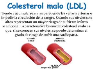 Colesterol malo (LDL)
Tiende a acumularse en las paredes de las venas y arterias e
impedir la circulación de la sangre. Cuando sus niveles son
altos representan un mayor riesgo de sufrir un infarto
o embolia. La característica buena del colesterol malo es
que, si se conocen sus niveles, se puede determinar el
grado de riesgo de sufrir una cardiopatía.
 