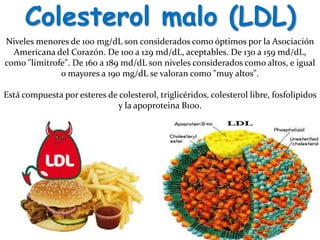 Colesterol malo (LDL)
Niveles menores de 100 mg/dL son considerados como óptimos por la Asociación
Americana del Corazón. De 100 a 129 md/dL, aceptables. De 130 a 159 md/dL,
como "limítrofe". De 160 a 189 md/dL son niveles considerados como altos, e igual
o mayores a 190 mg/dL se valoran como "muy altos".
Está compuesta por esteres de colesterol, triglicéridos, colesterol libre, fosfolipidos
y la apoproteina B100.
 