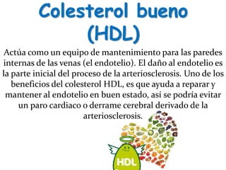 Colesterol bueno
(HDL)
Actúa como un equipo de mantenimiento para las paredes
internas de las venas (el endotelio). El daño al endotelio es
la parte inicial del proceso de la arteriosclerosis. Uno de los
beneficios del colesterol HDL, es que ayuda a reparar y
mantener al endotelio en buen estado, así se podría evitar
un paro cardiaco o derrame cerebral derivado de la
arteriosclerosis.
 