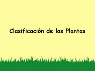 Clasificación de las Plantas
 