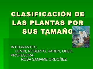 CLASIFICACIÓN DE LAS PLANTAS POR SUS TAMAÑO INTEGRANTES:  LENIN, ROBERTO, KAREN, OBED. PROFESORA:  ROSA SAMAME ORDOÑEZ. 