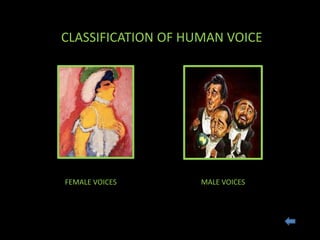 CLASSIFICATION OF HUMAN VOICE
FEMALE VOICES MALE VOICES
 